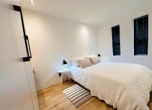 Modern Scandinavian Luxury Apartment