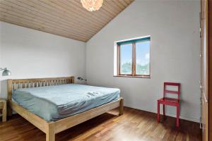 1008-Thisted-Clemmessti-48