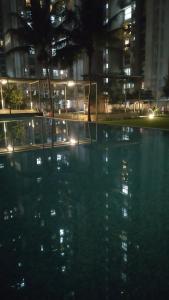 Premium 1 Bhk furnished flat
