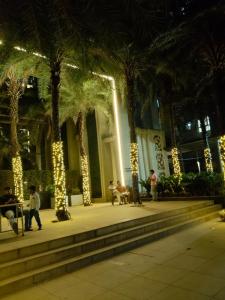 Premium 1 Bhk furnished flat