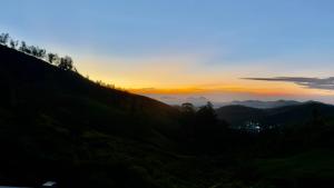 Teyt Grand View