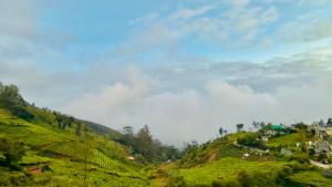 Teyt Grand View