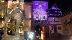 Aux oiseaux de passage