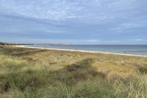 Strandflieder Zimmer 305