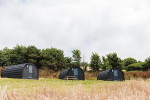 Skern Adventure Appledore