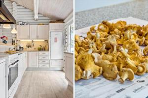 997-Thisted-Lyngstien-15-B