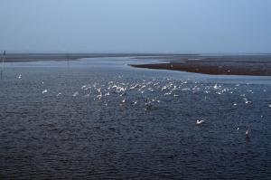 Ferienhaus Nemo, FeWo Vermittlung Nordsee