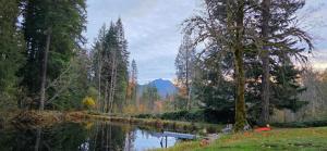 Sasquatch Sanctuary | Hot Tub, Pond, Mountain View
