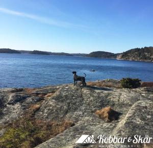 Villa with sauna, 650 m to the beach SE09135