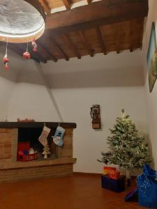 Zinfarosa Color House