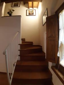 Zinfarosa Color House