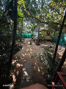 Carvalhos Regina guest house