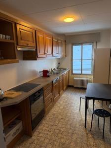 3 bedrooms apartment in Fionnay