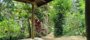 Sinharaja Bare Foot Backpacker Hostel