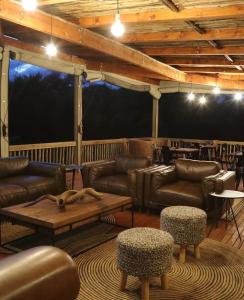 Tanzania Elite Safari