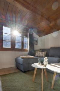 Mountain apartment near Brienz with Hot Tub