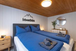 Mountain apartment near Brienz with Hot Tub