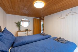 Mountain apartment near Brienz with Hot Tub