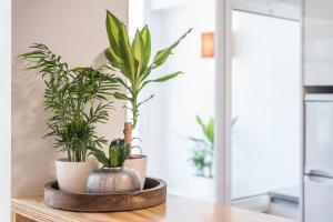 GuestReady - Sunny patio paradise in Porto