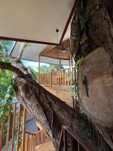 Treehouse-Apartment for 3, 2bedrooms, KBB