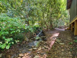 Dec. Disc, Skiing, Pets, Hot Tub, Firepit, Creeks