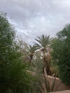 Palmas Magramane Ogandou