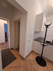 Vydūno apartamentai