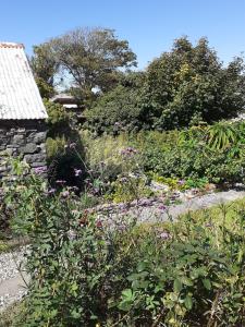 Loop Head Lodge Carrigaholt 4 bedroom self catering holiday home