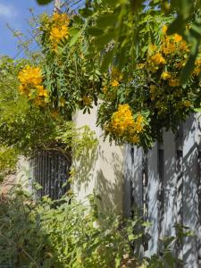 Casapueblo Rent Cachagua CP 34