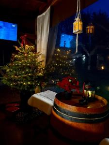 Cabana Oana 5-bedrooms chalet