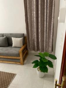 Luxe Nest Luxor Serviced Apartments 201