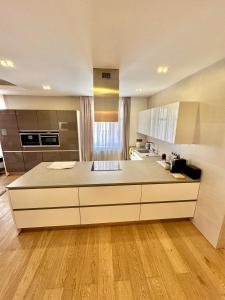 Beautiful apartment with a view of Bratislava Castle