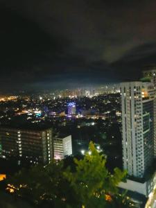 Queen V3 Manhattan Parkview Tower 1