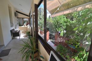 Botanical Hideout Apartment