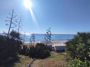 Civico 53 Apartments