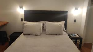 Cómodo Loft cercano al Shopping Costanera Center