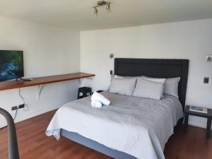 Cómodo Loft cercano al Shopping Costanera Center