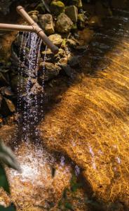 Nido Glamping - Cabana Laguna