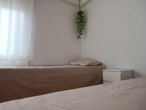 El otro cielo Playamonte