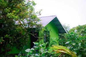 Hill valley farm resort