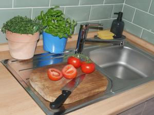 Ferienwohnung Apartment Fewo Alojamiento Casa Demy