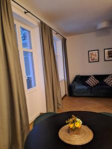 Vydūno apartamentai 8