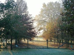 Chambre Nature GouldOie Zen