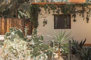 Cien Palmas- Authentic Mexican Casita 2 -Downtown