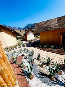 Bambu Villas Wellness Center