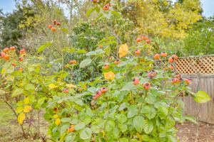 Extended Wine Country Stay! Cozy Home in Sonoma