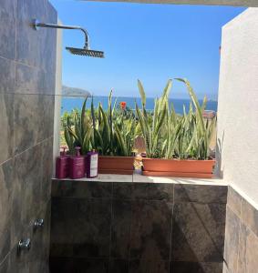 Villas Mimosa at La Ropa Beach