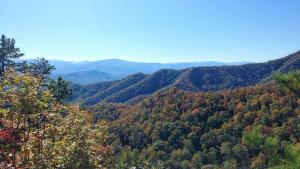 Stylish Downtown Loft: Restaurants • Shops • Train