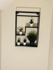 Large Room Near City Centre