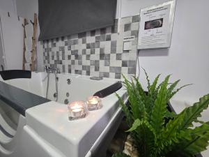 El nido de la Galería